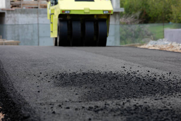 Best Residential Paver Driveway  in Crewe, VA