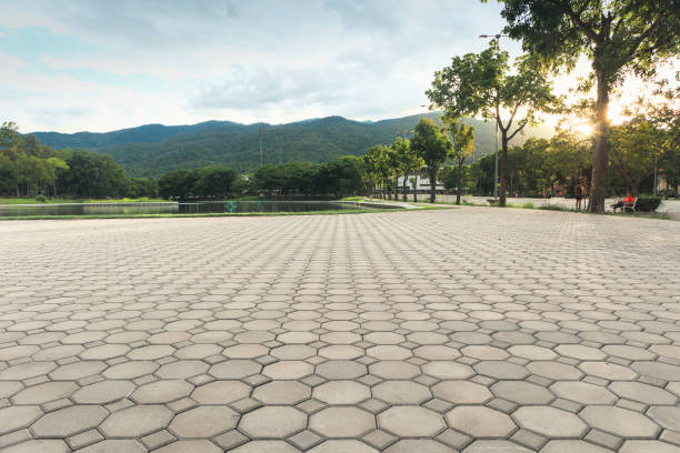 Best Driveway Pavers Near Me  in Crewe, VA
